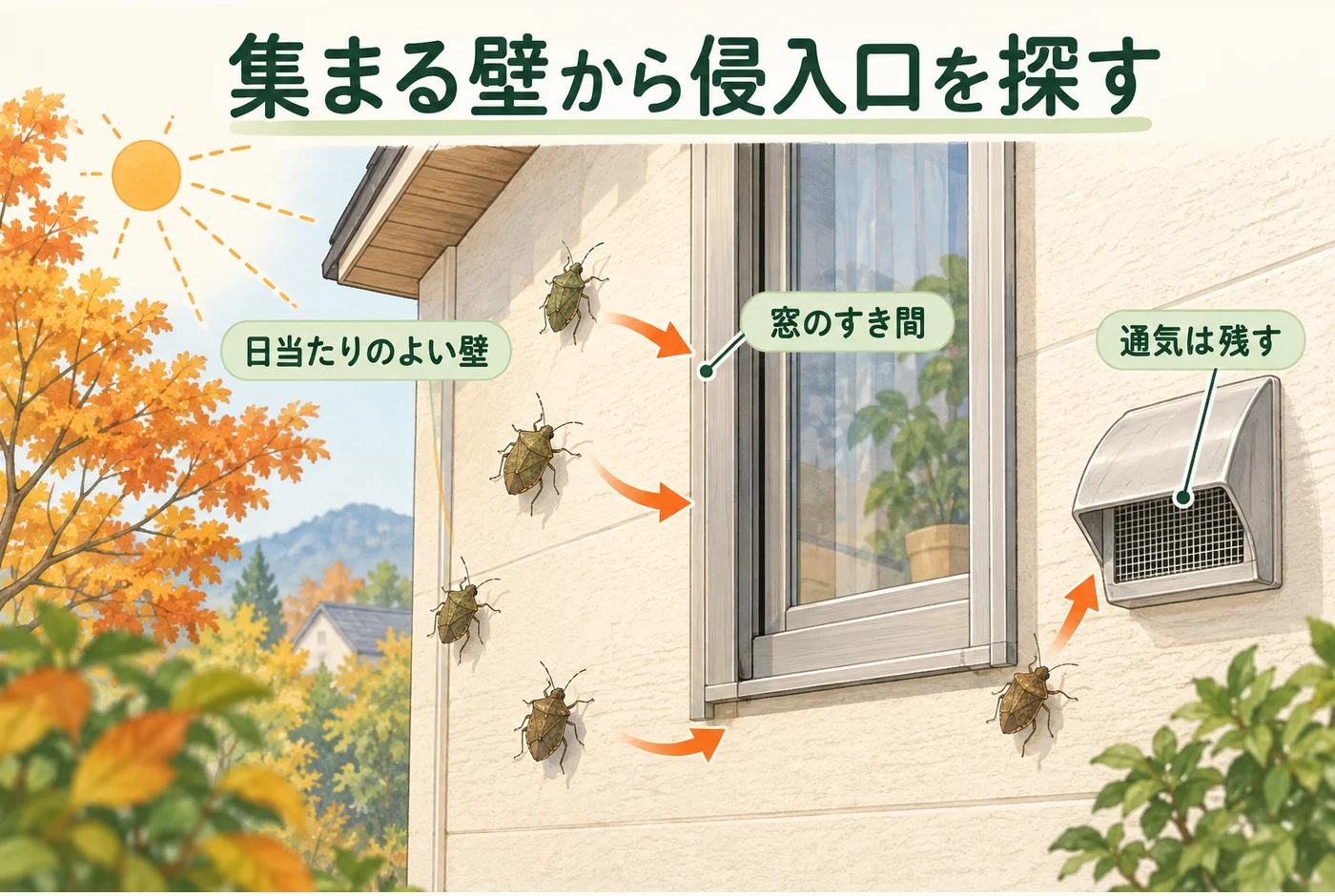 日当たりのよい外壁から窓や通気口へ向かう経路を確認する図