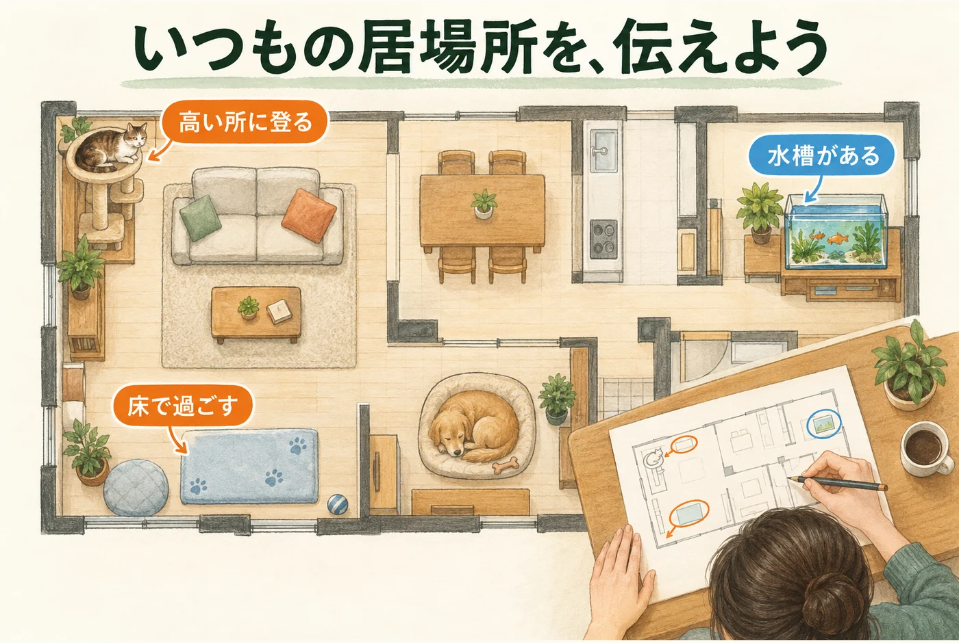 床で過ごす子ども、猫の高い居場所、犬の寝床、水槽を示した相談用の間取り