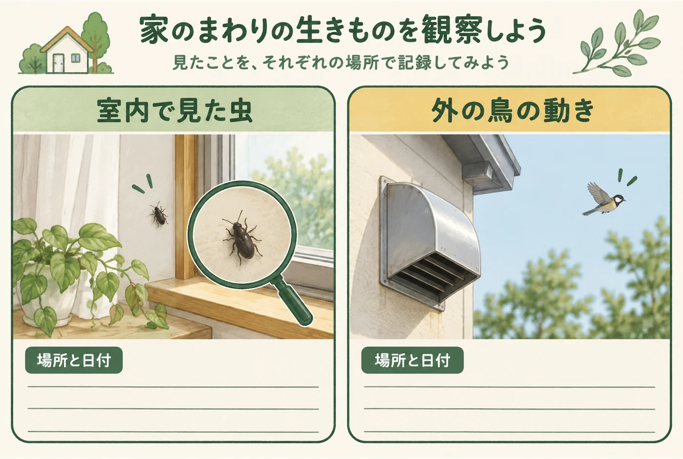 室内の虫と外の鳥の動きを別の記録に残す図