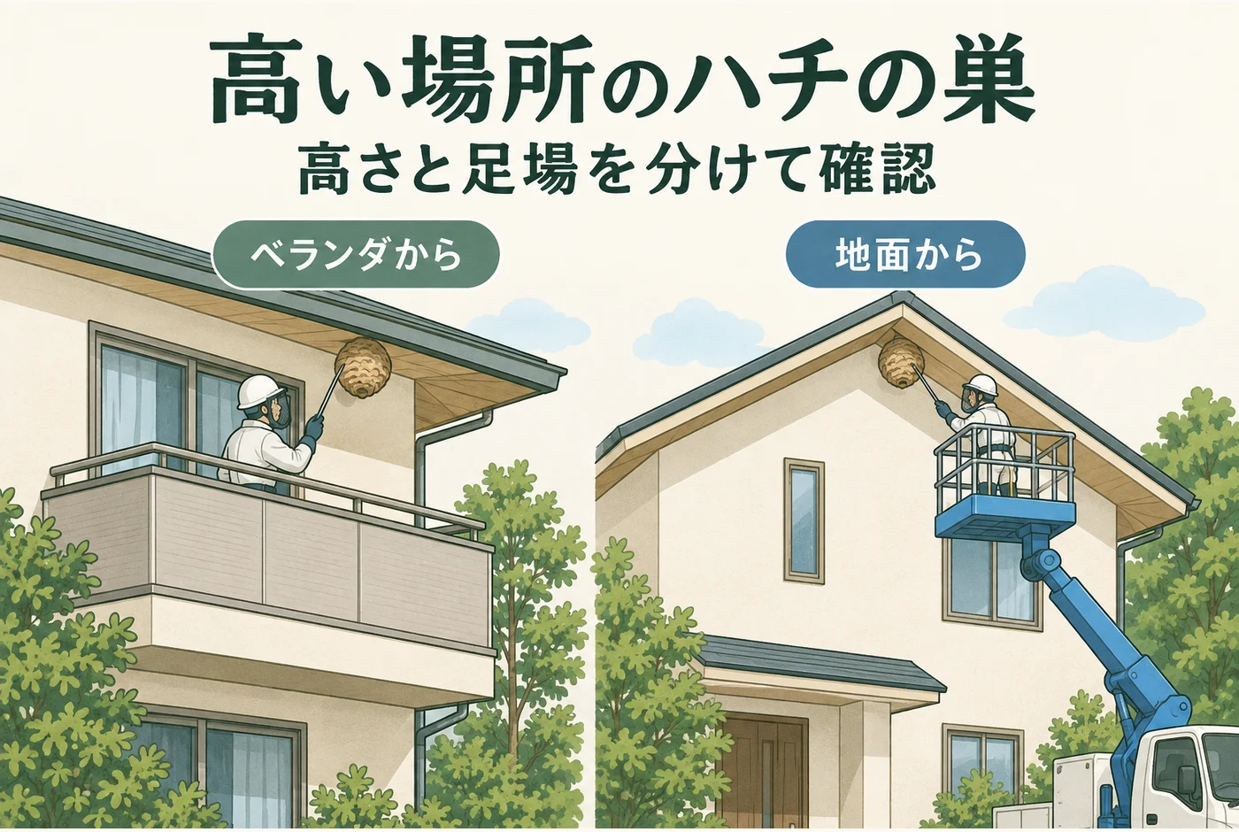 2階の巣でもベランダからと地面からでは到達方法が違う