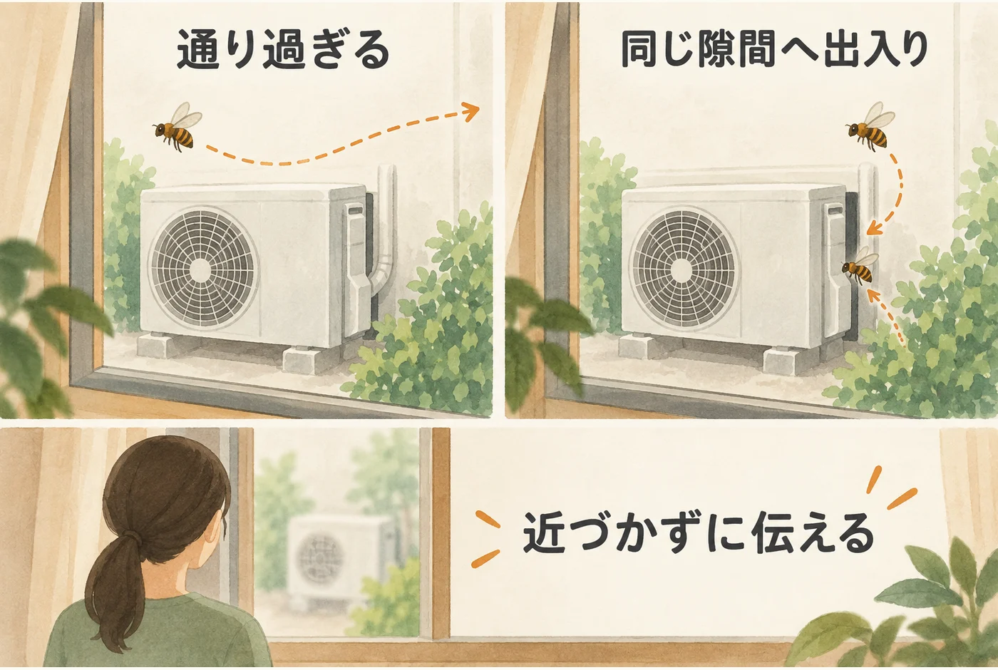 室外機の周囲を通るハチと、同じ隙間へ繰り返し出入りするハチの違い