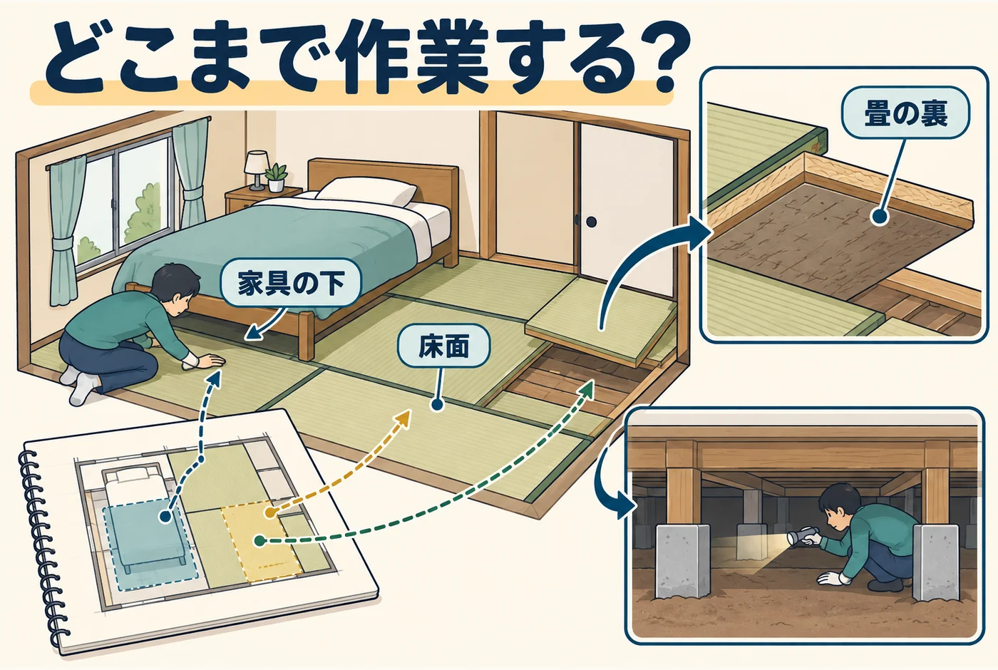 ダニ駆除の作業面を見積書で確かめる
