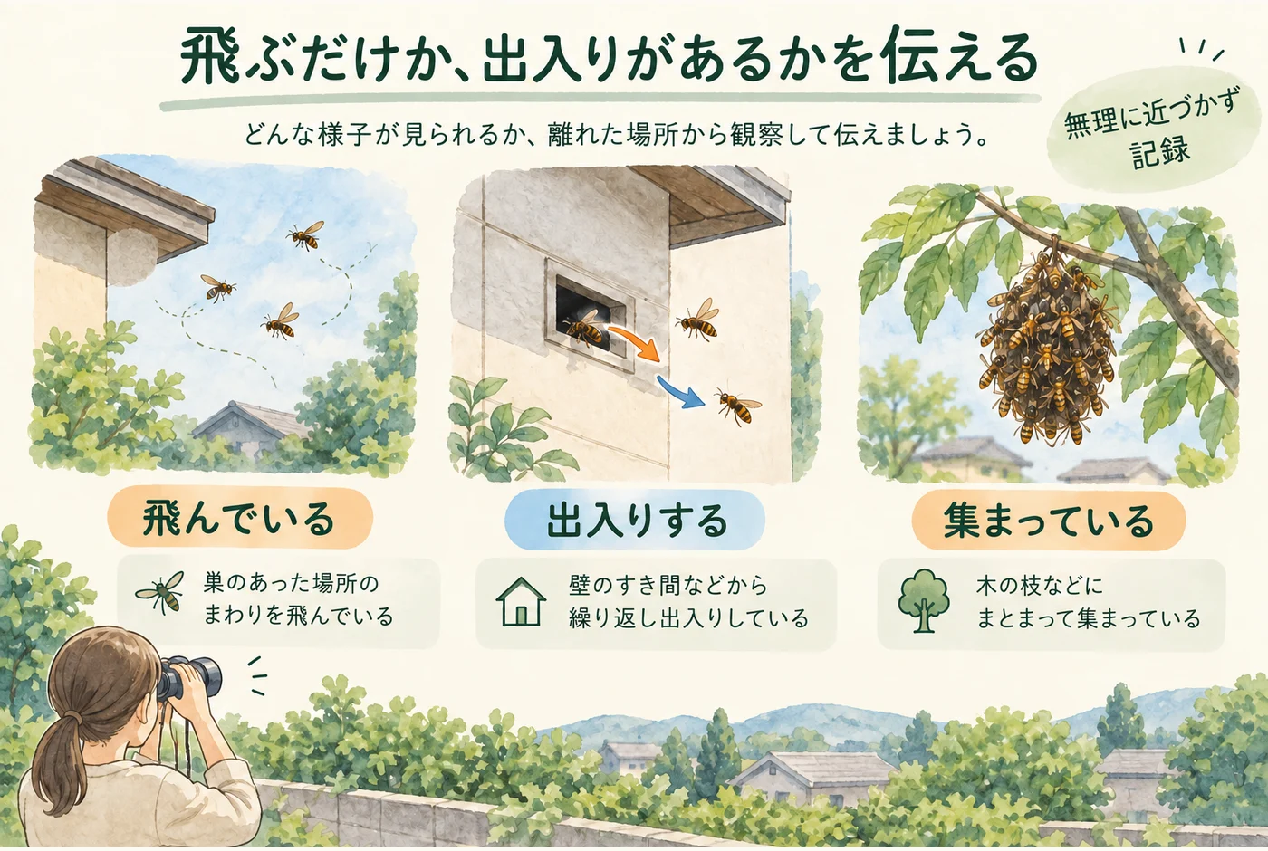 飛来、穴への出入り、集まりを別々に記録して伝える図