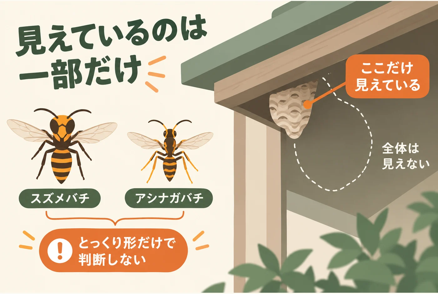 軒に隠れて巣の一部しか見えない場合は全体不明とする