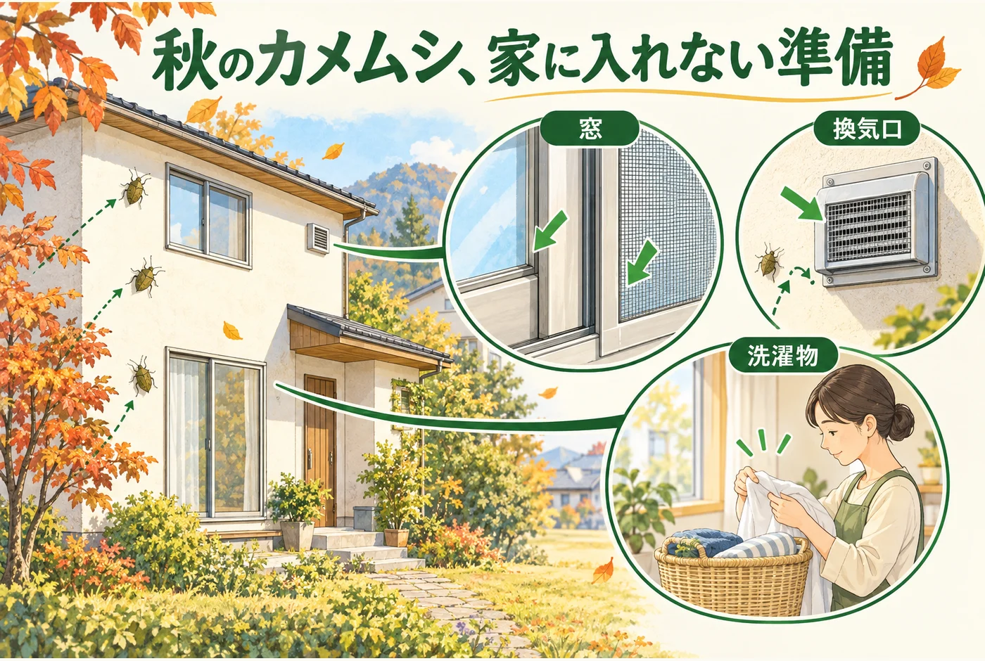 秋のカメムシを家に入れない！窓・換気口・洗濯物で見直すこと