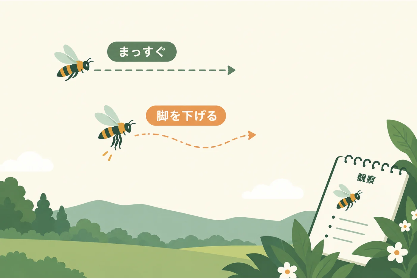 まっすぐ飛ぶ姿と脚を下げて飛ぶ姿の模式図
