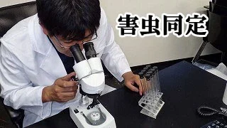 株式会社三共リメイク 公式サイト掲載:公式サイトに掲載された顕微鏡での確認作業