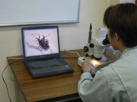 北海道防疫サービス 公式サイト掲載:検査の様子