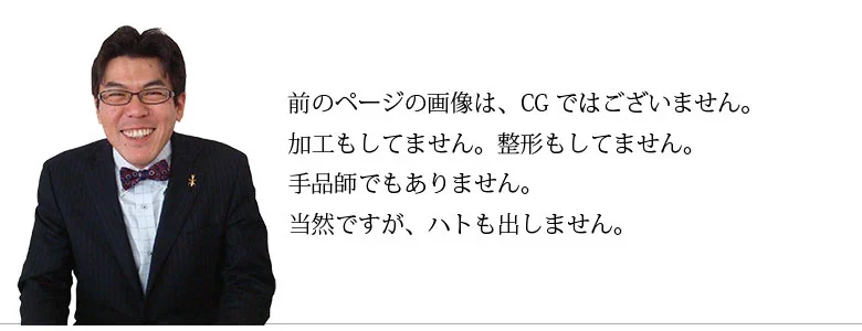 株式会社アイディーサービス 公式サイト掲載：公式掲載の人物写真